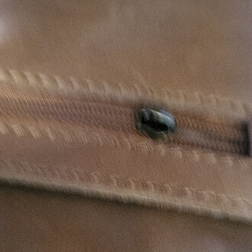 The Sak Tan Los Feliz Large Shoulder Bag with Tassel - Picture 11 of 12
